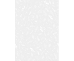 Läbipaistev paber - valged lehed, A4 115 g/m² - Heyda